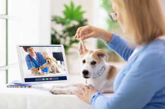 televet and pet health plans